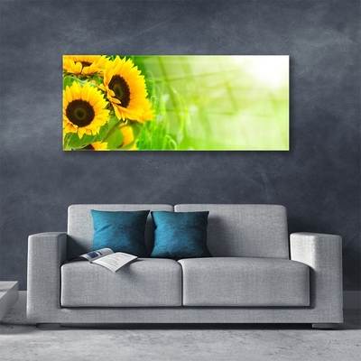 Billede glas Sunflowers Plant