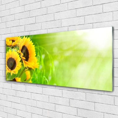 Billede glas Sunflowers Plant