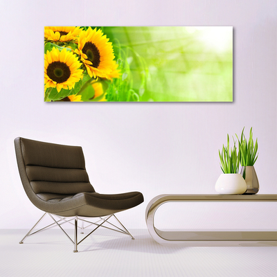 Billede glas Sunflowers Plant