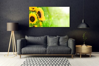 Billede glas Sunflowers Plant