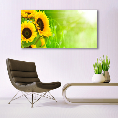 Billede glas Sunflowers Plant