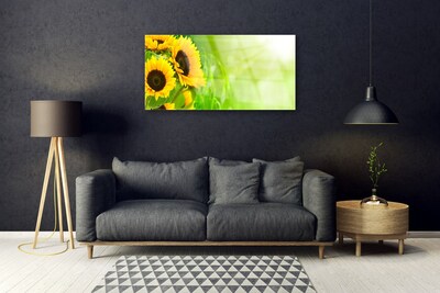 Billede glas Sunflowers Plant