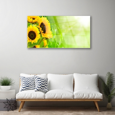 Billede glas Sunflowers Plant