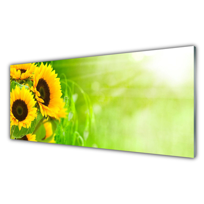 Billede glas Sunflowers Plant