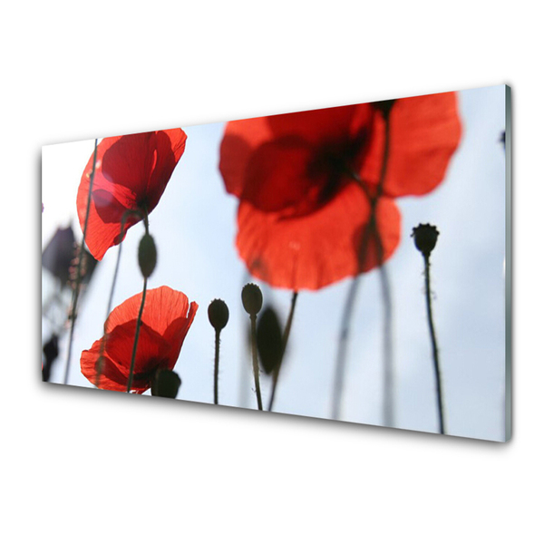 Billede i glas Poppy Plant