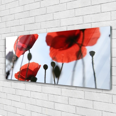 Billede i glas Poppy Plant