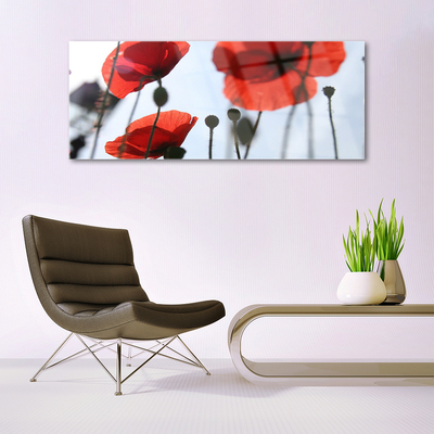 Billede i glas Poppy Plant