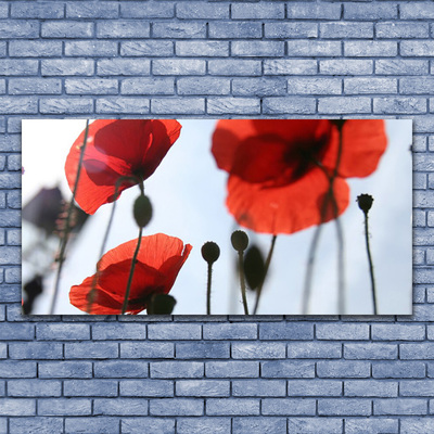 Billede i glas Poppy Plant