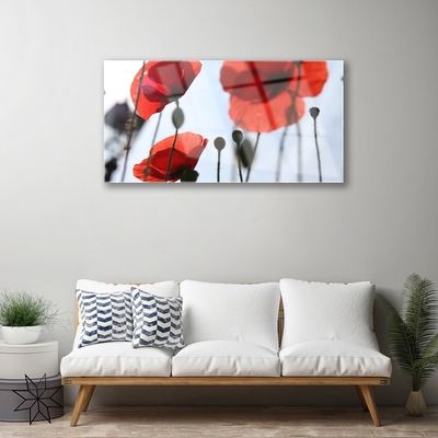 Billede i glas Poppy Plant