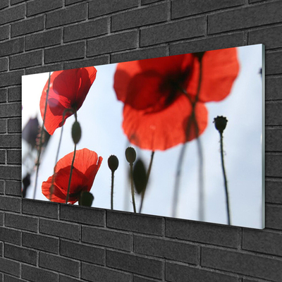 Billede i glas Poppy Plant