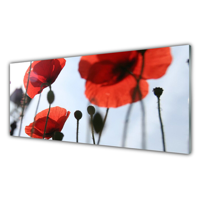 Billede i glas Poppy Plant