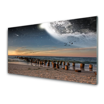 Billede i glas Ocean Beach Landscape