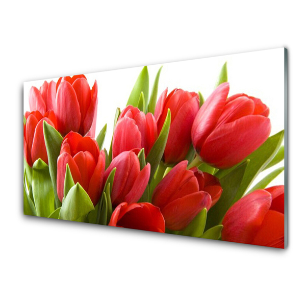 Print på glas Tulipaner Blomster Plante