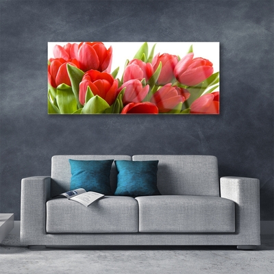 Print på glas Tulipaner Blomster Plante