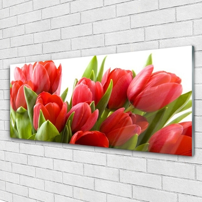 Print på glas Tulipaner Blomster Plante