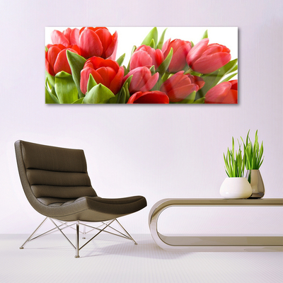 Print på glas Tulipaner Blomster Plante