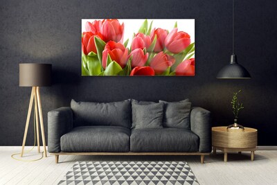 Print på glas Tulipaner Blomster Plante