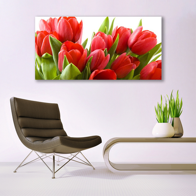 Print på glas Tulipaner Blomster Plante