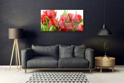 Print på glas Tulipaner Blomster Plante