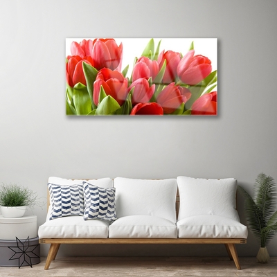 Print på glas Tulipaner Blomster Plante