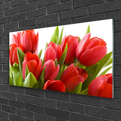 Print på glas Tulipaner Blomster Plante