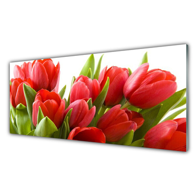 Print på glas Tulipaner Blomster Plante