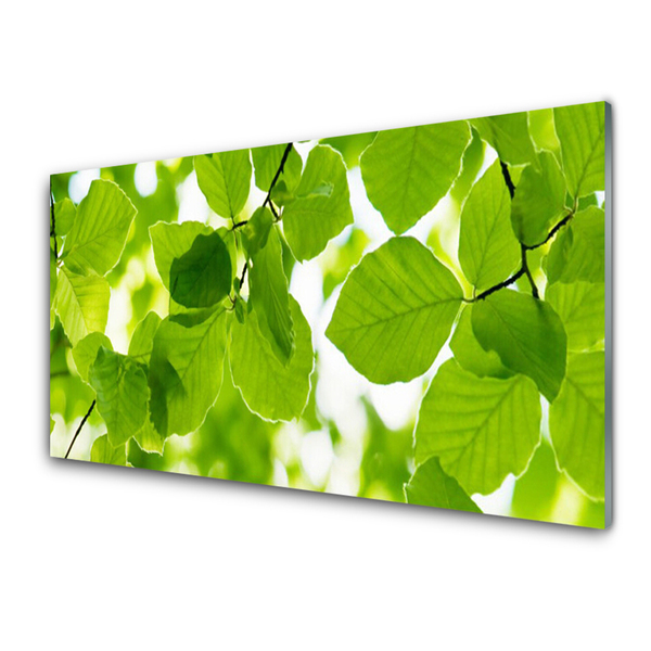 Billede i glas Blade Natur Plante