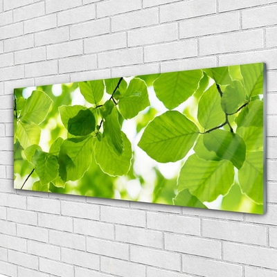 Billede i glas Blade Natur Plante