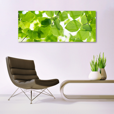 Billede i glas Blade Natur Plante