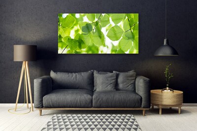 Billede i glas Blade Natur Plante