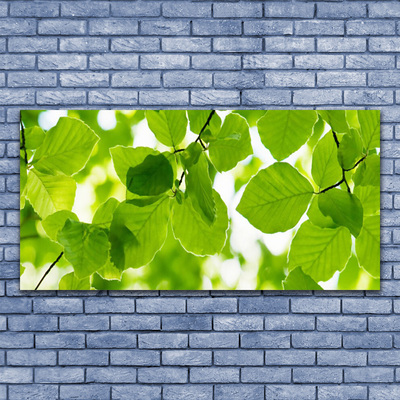 Billede i glas Blade Natur Plante