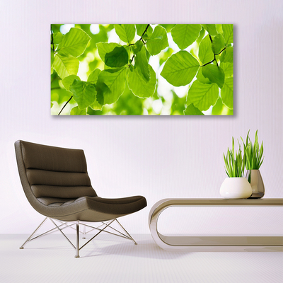 Billede i glas Blade Natur Plante