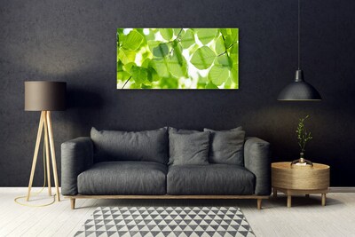 Billede i glas Blade Natur Plante