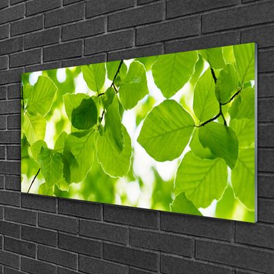 Billede i glas Blade Natur Plante