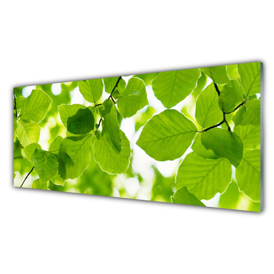 Billede i glas Blade Natur Plante