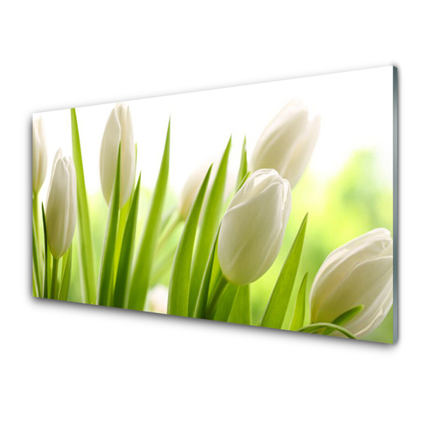 Billede glas Tulipaner Blomster