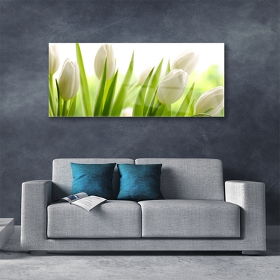 Billede glas Tulipaner Blomster