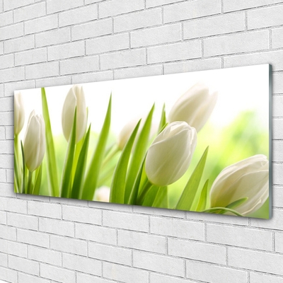 Billede glas Tulipaner Blomster