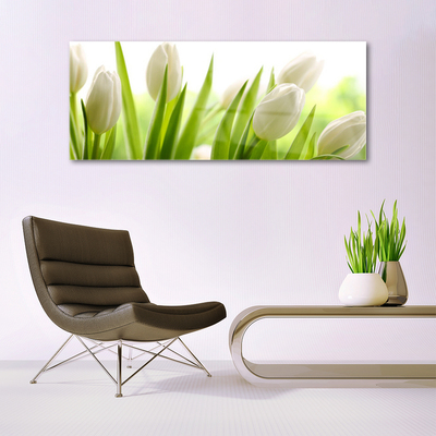 Billede glas Tulipaner Blomster