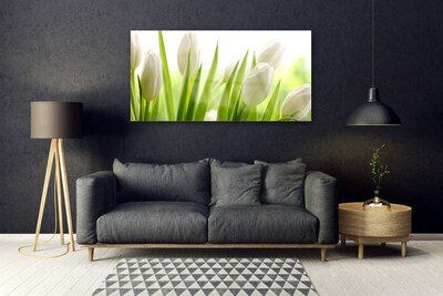 Billede glas Tulipaner Blomster