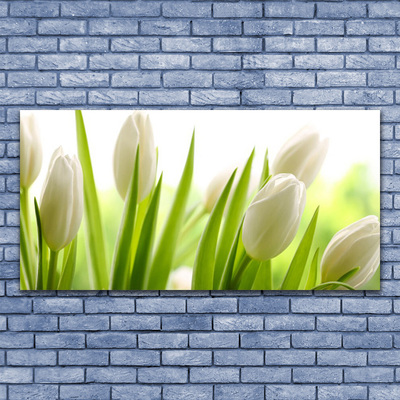 Billede glas Tulipaner Blomster