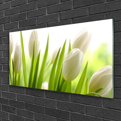 Billede glas Tulipaner Blomster