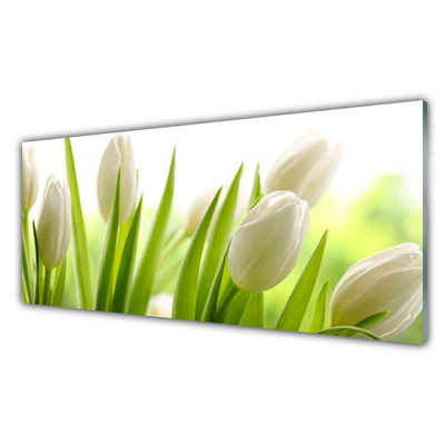 Billede glas Tulipaner Blomster