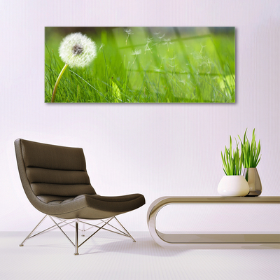 Billede i glas Blow Grass Plant