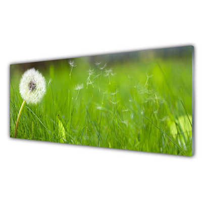 Billede i glas Blow Grass Plant