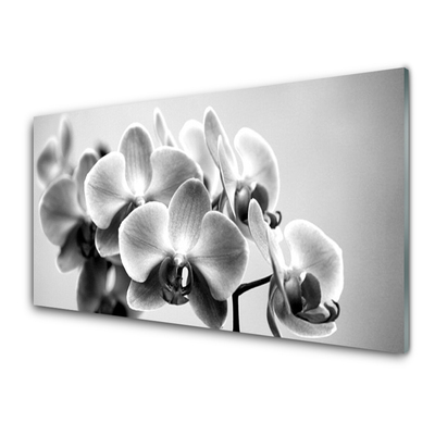 Glasfoto Blomster Natur Plante