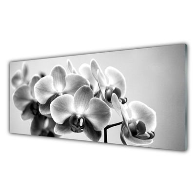 Glasfoto Blomster Natur Plante