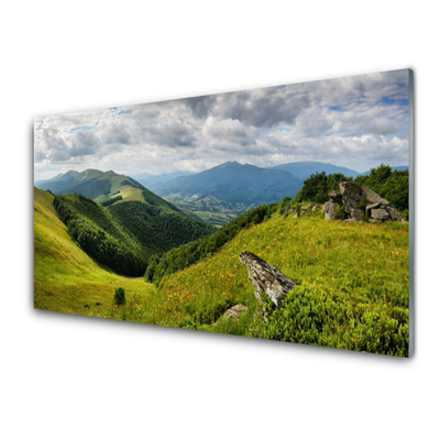 Billede i glas Mountain Meadow Landscape