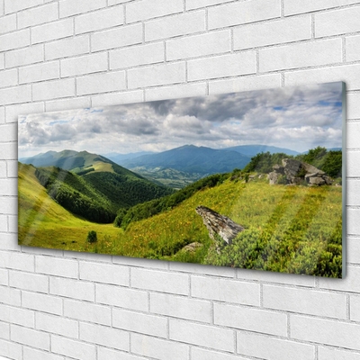 Billede i glas Mountain Meadow Landscape