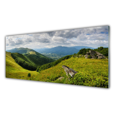 Billede i glas Mountain Meadow Landscape